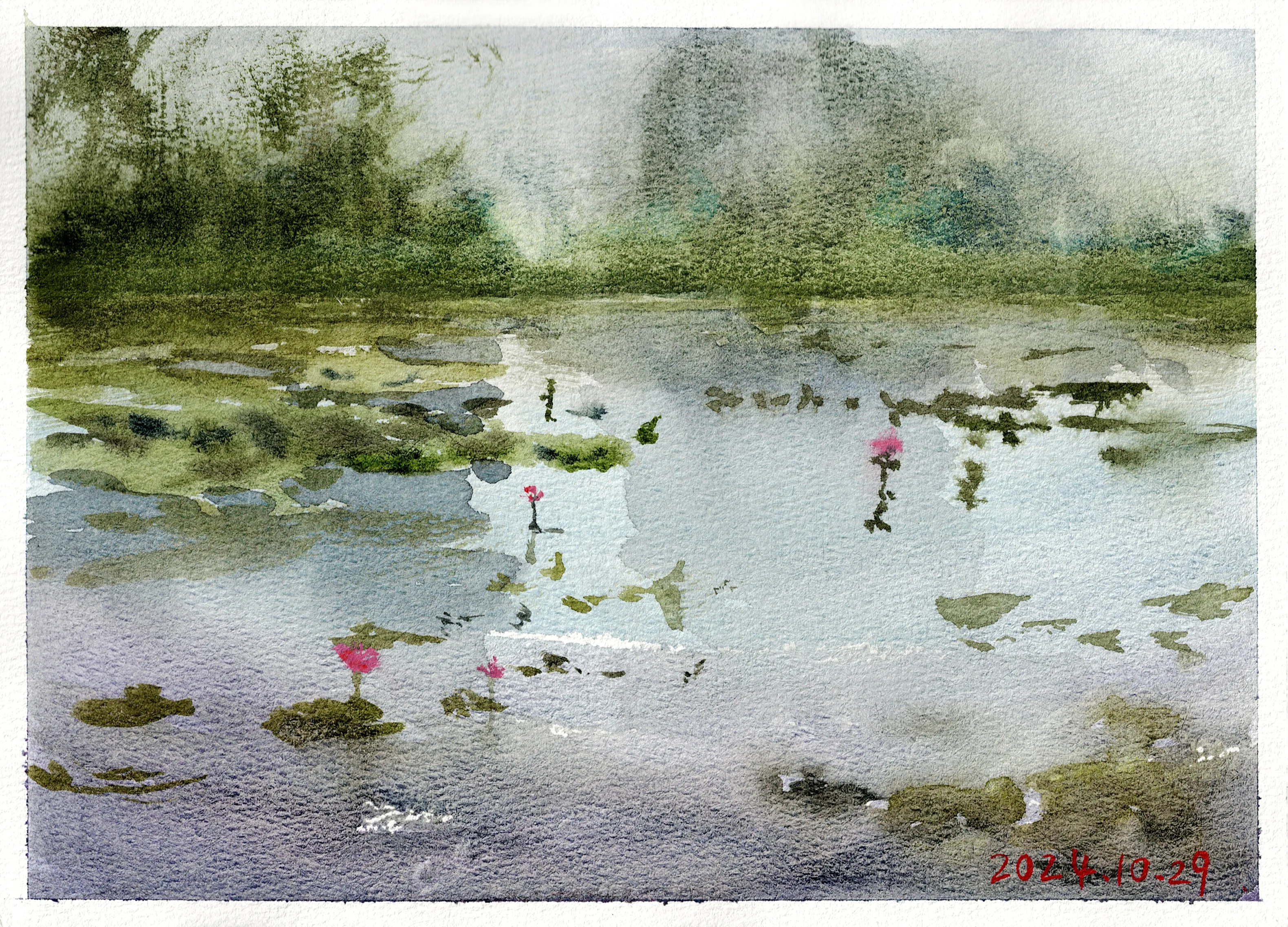 Watercolour