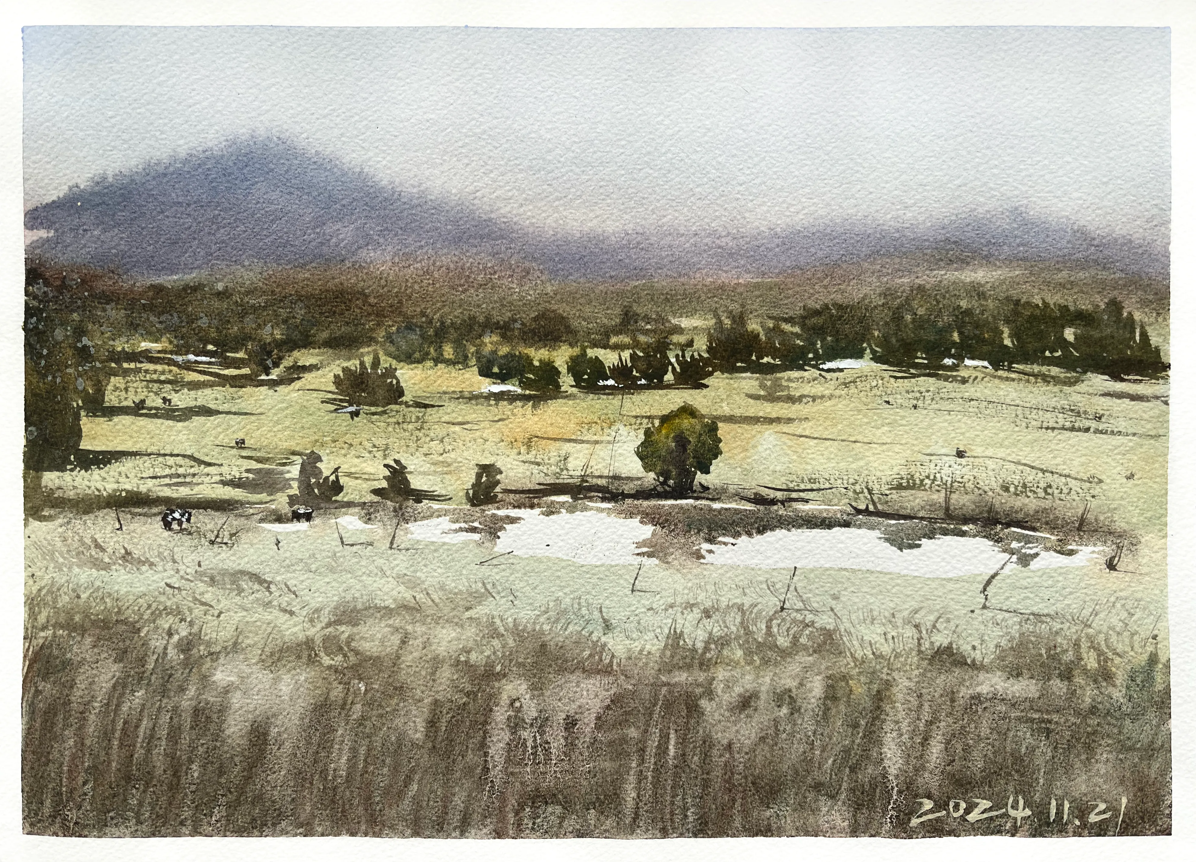 Watercolour