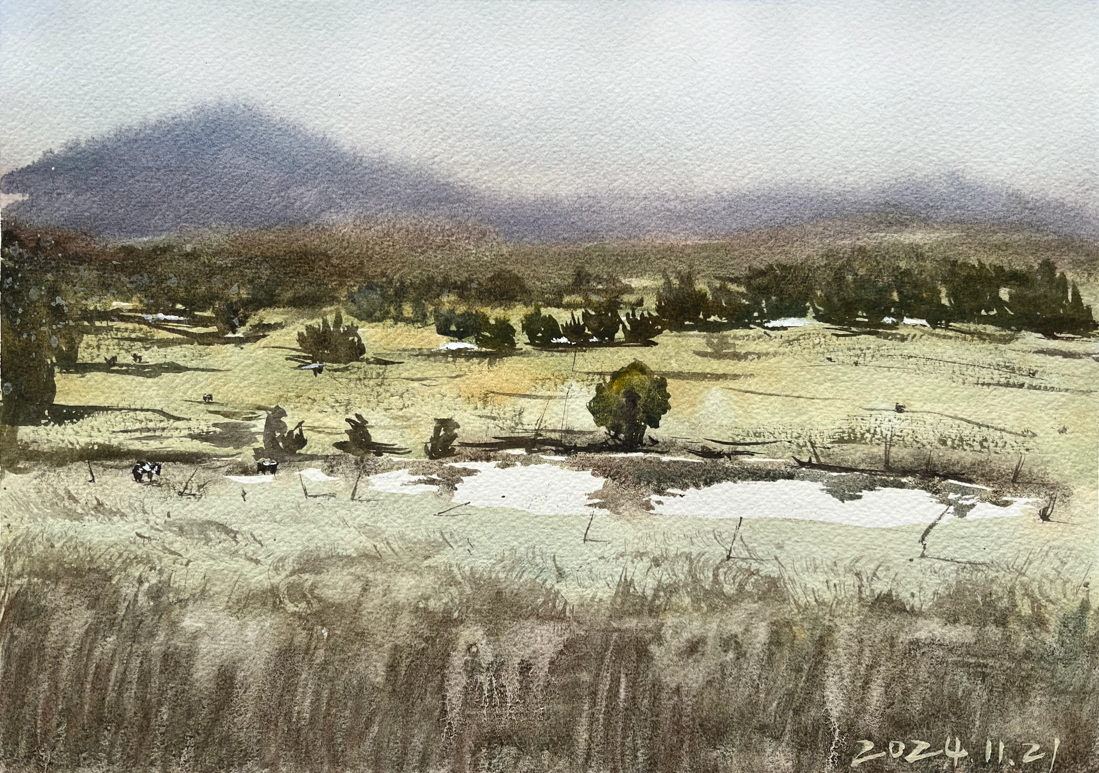 Watercolour