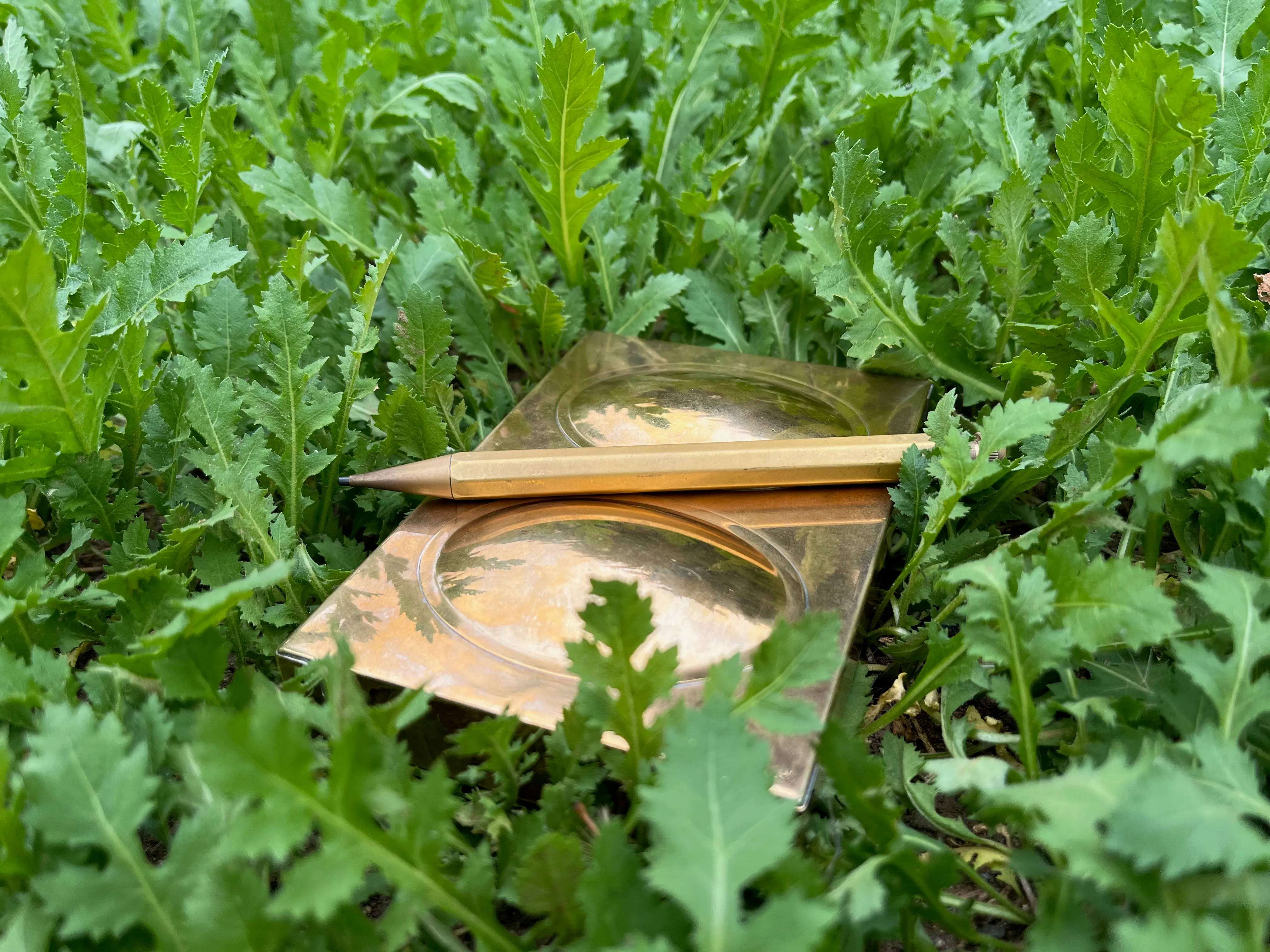 在草丛里的不器工坊 Roberson 式水彩盒与 Kaweco Brass Special 在草丛里的不器工坊 Roberson 式水彩盒与 Kaweco Brass Special